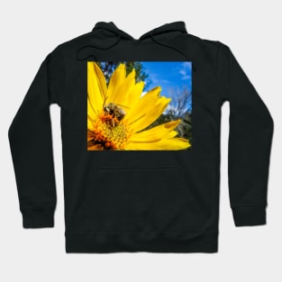 Bumblebee on Flower Hoodie